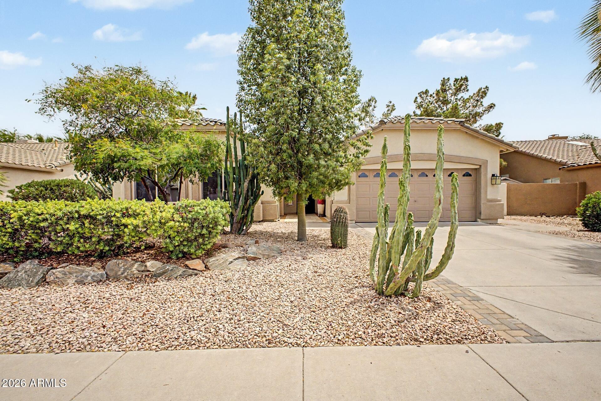 875 W BEECHNUT Drive