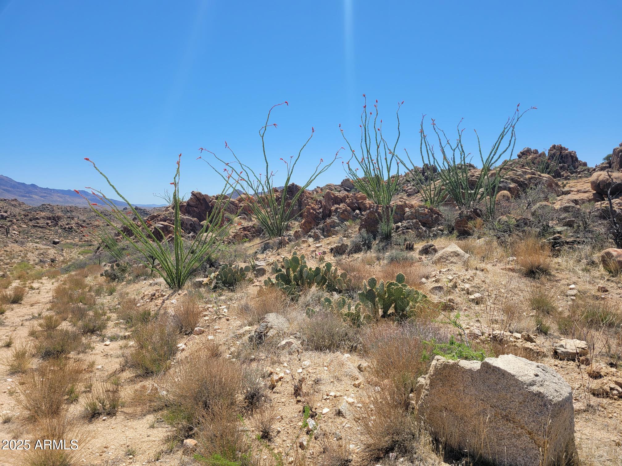 0 S Date Creek Road I-3