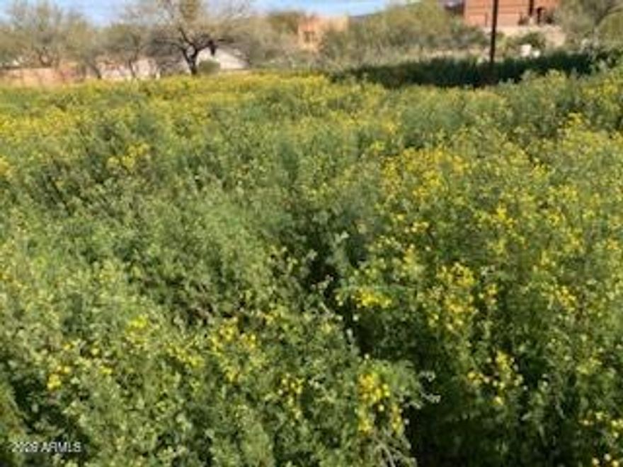 Beautiful lot, easy build, mountain views,
This property is surrounded by million dollar 
homes. Natural desert landscape