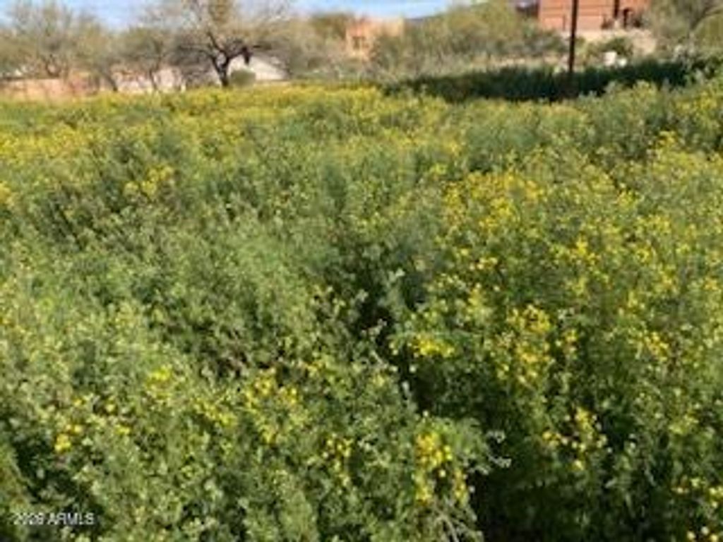Photo of 45427 N 14th Street #A, New River, AZ 85087 (MLS # 7020162)
