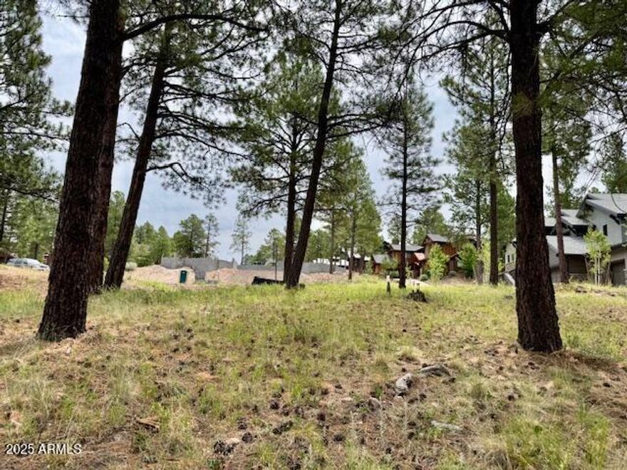 Terrific opportunity to own a lot in sought after Pine Canyon.  This lot is well located on a secluded cul de sac.  Beautiful Ponderosa pines adorn this location.  Owners may obtain membership privileges and enjoy the many amenities the Country Club has to offer.