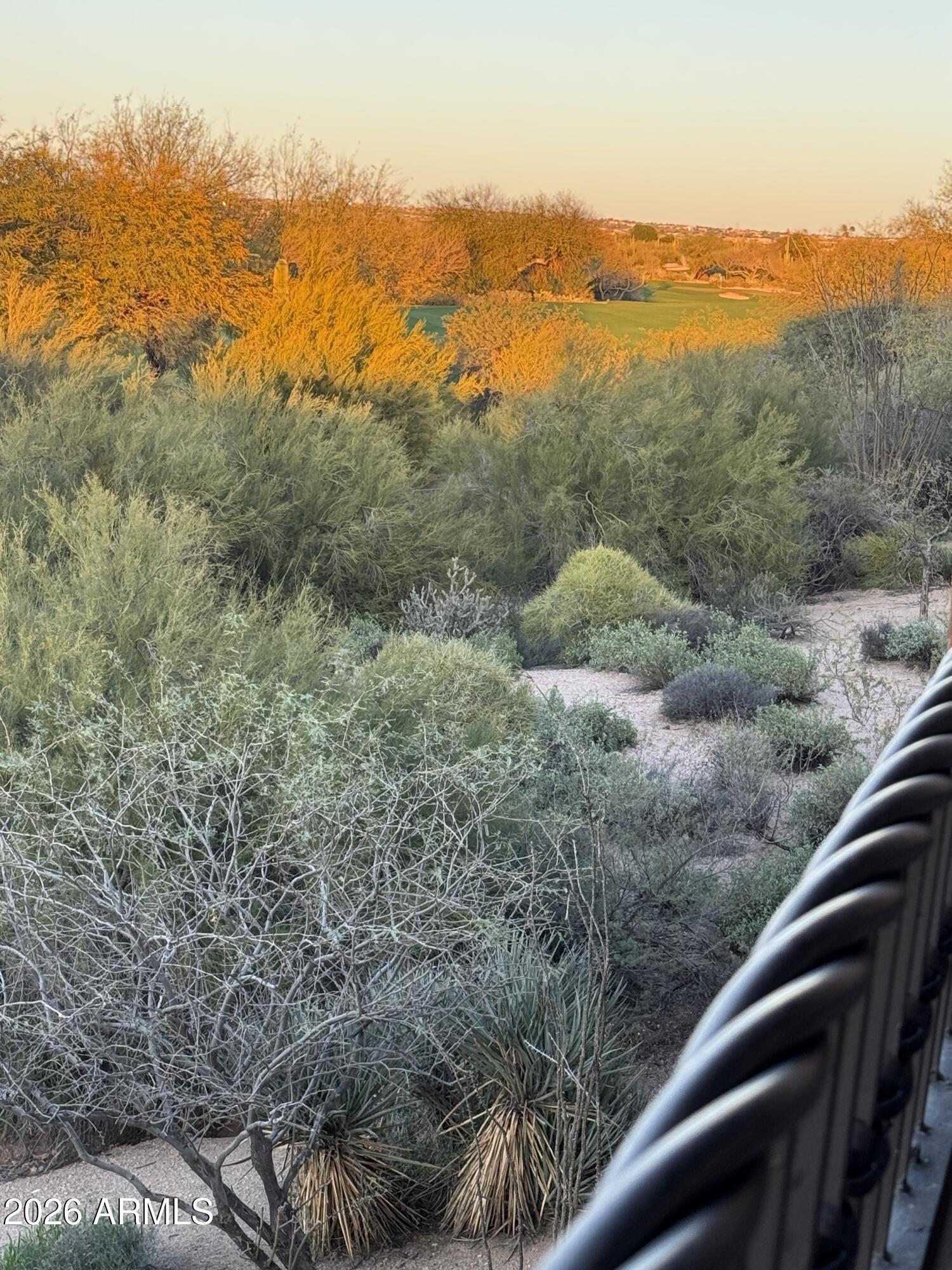 36601 N MULE TRAIN Road C16