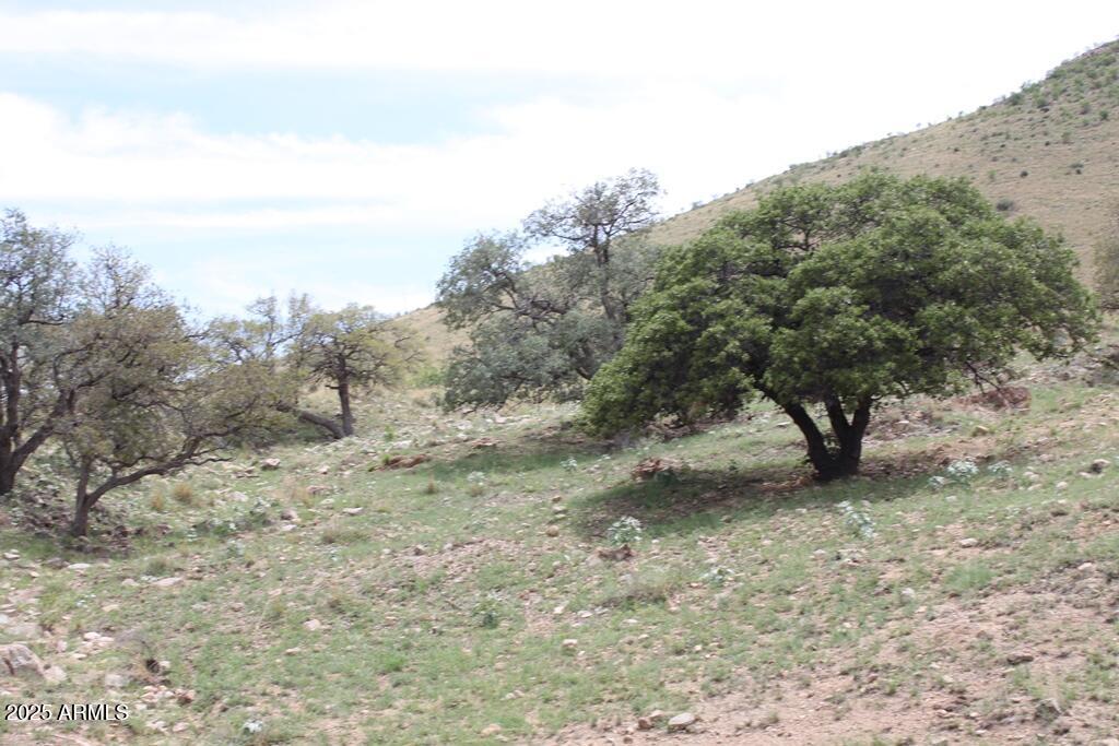 RANCHO SIERRA GRANDE - Land