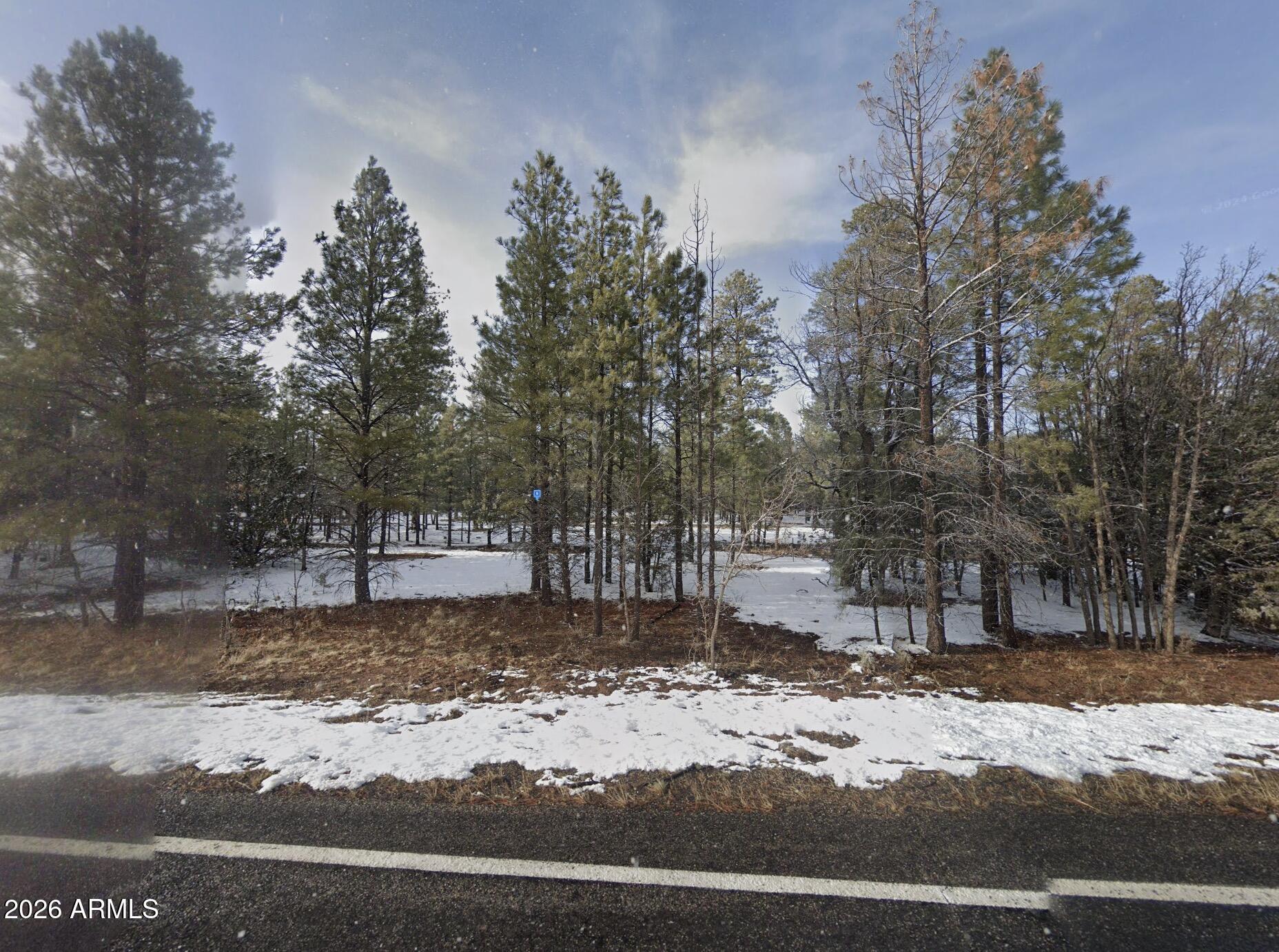 4178 Timberline Drive 5