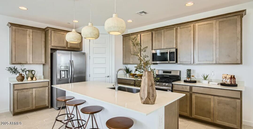 12054 W CALLE DE POMPAS --