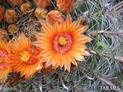 E1 LOT 45 E De Vaca Lot 45 Road 45