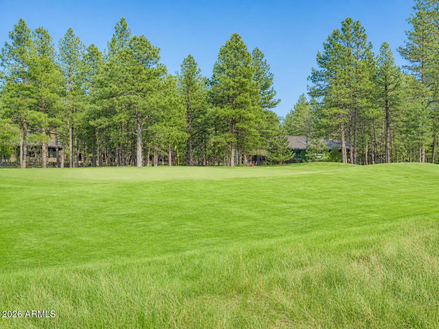FOREST HIGHLANDS - Residential