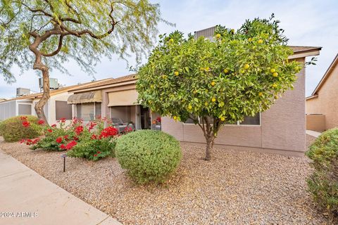 A home in Chandler