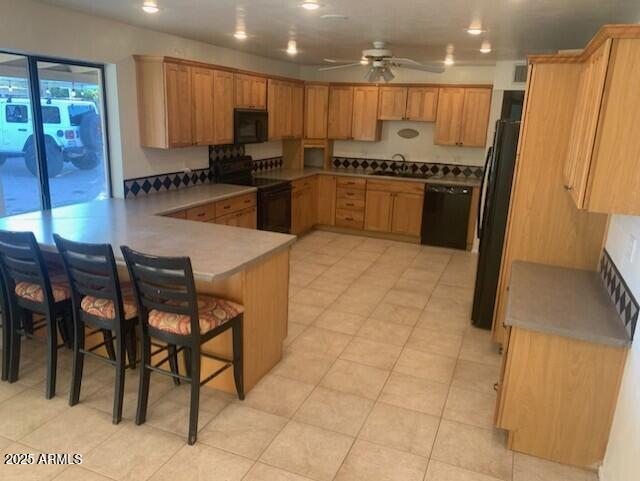 207 E PAPAGO Drive