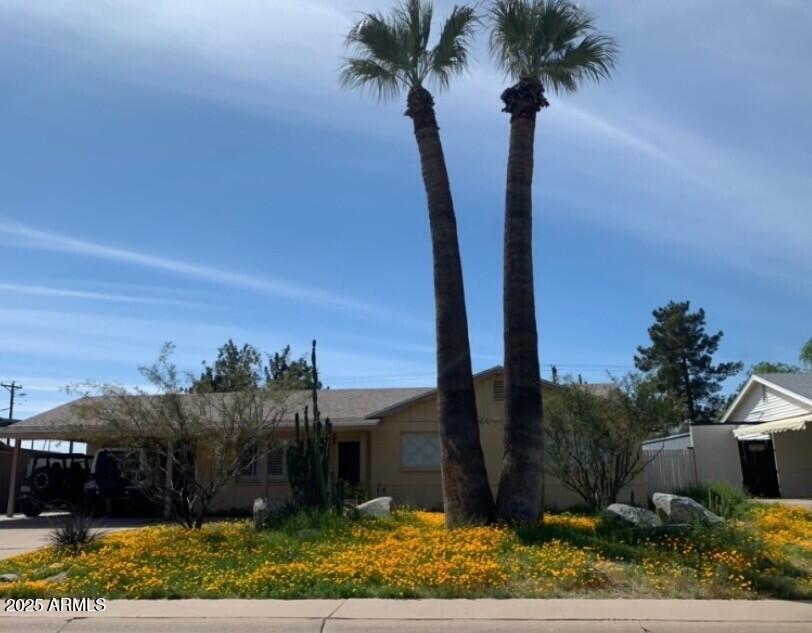 207 E PAPAGO Drive
