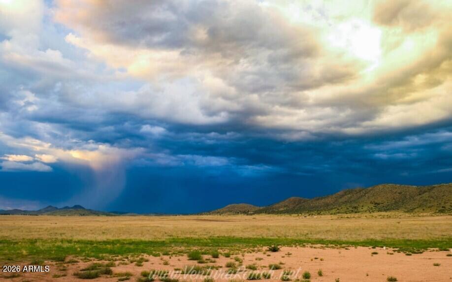 10410 E Woven Gold Lot 61 Way 61