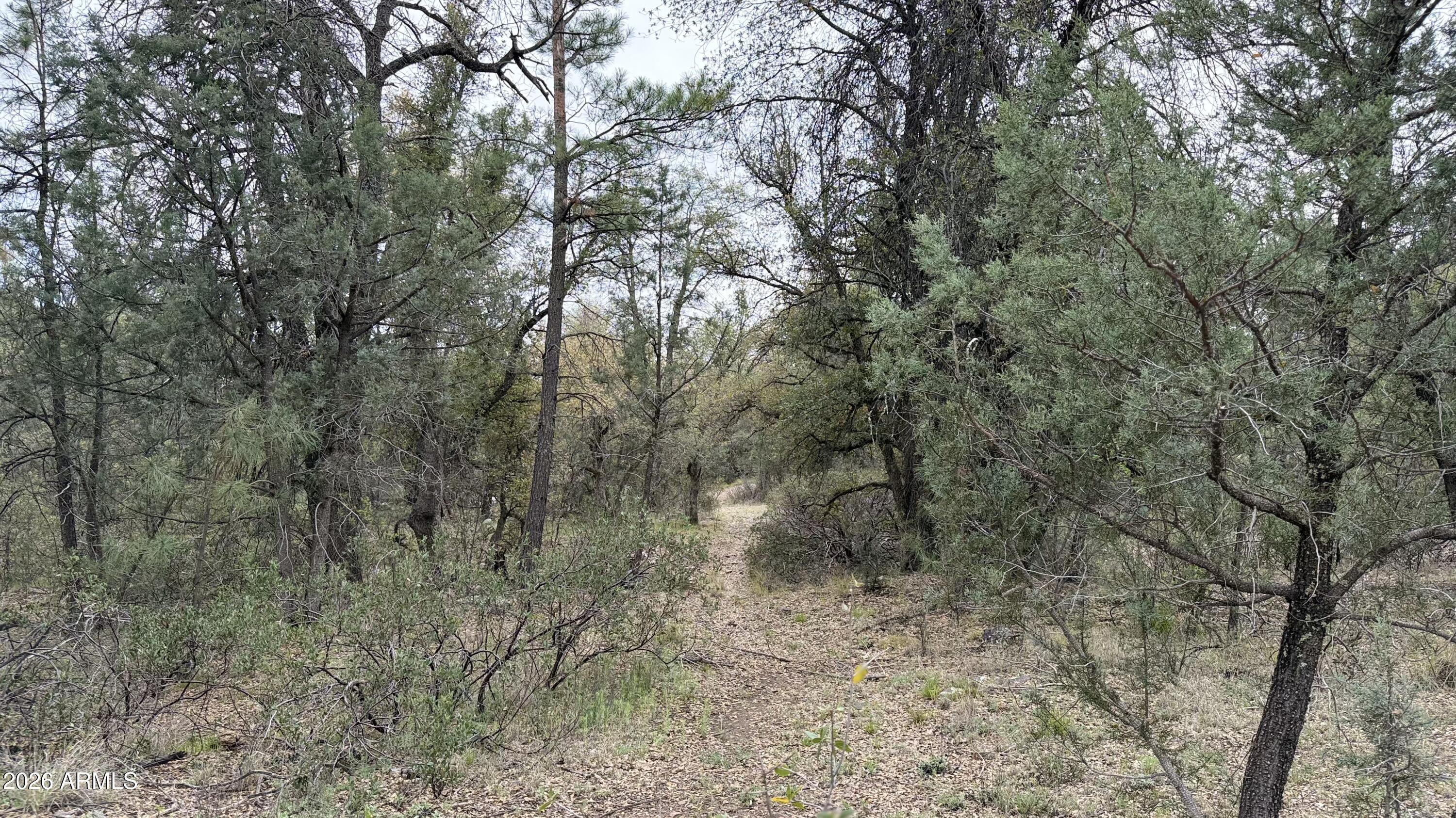 117 N Rifle Barrel Road 41