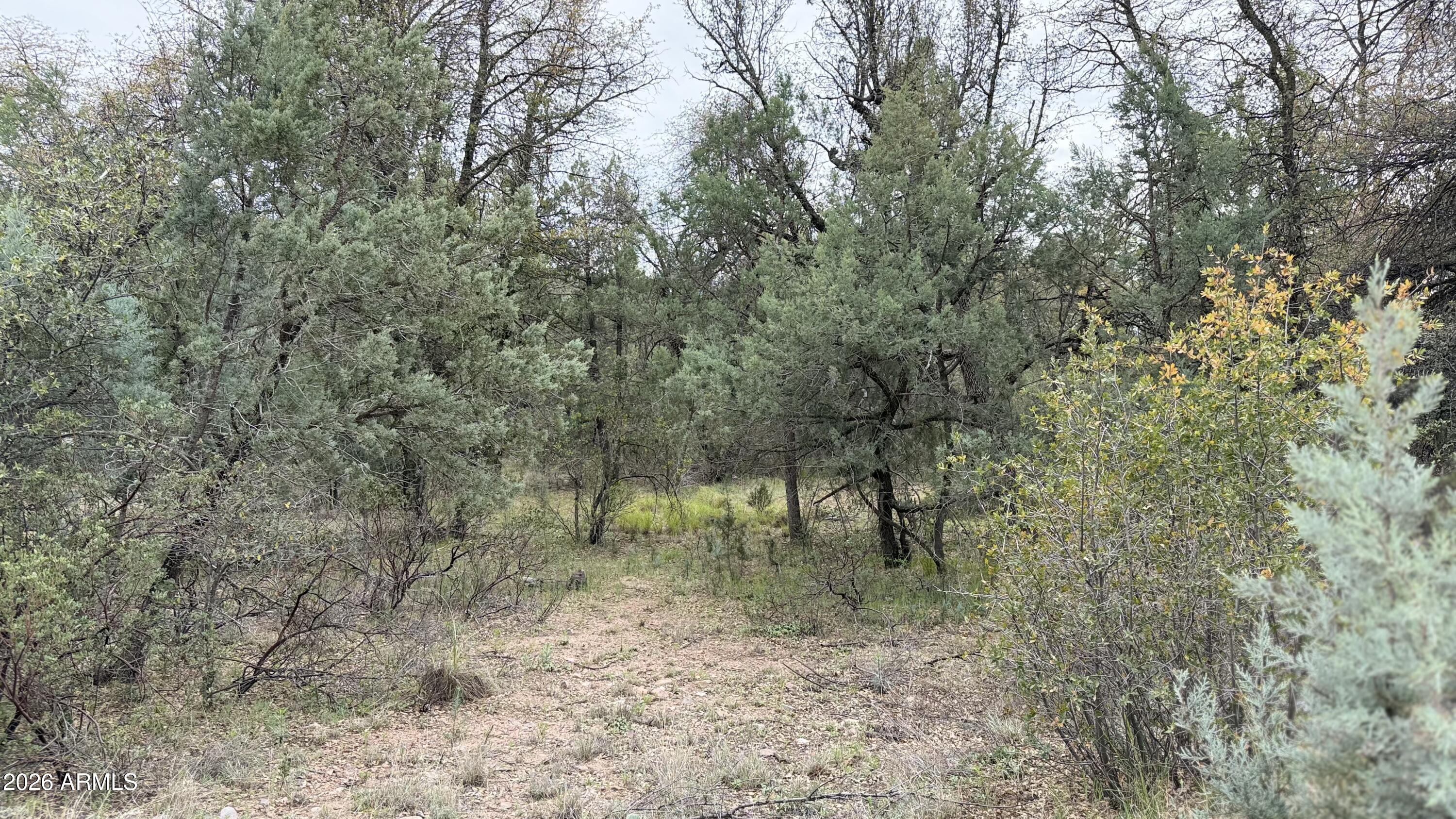 117 N Rifle Barrel Road 41