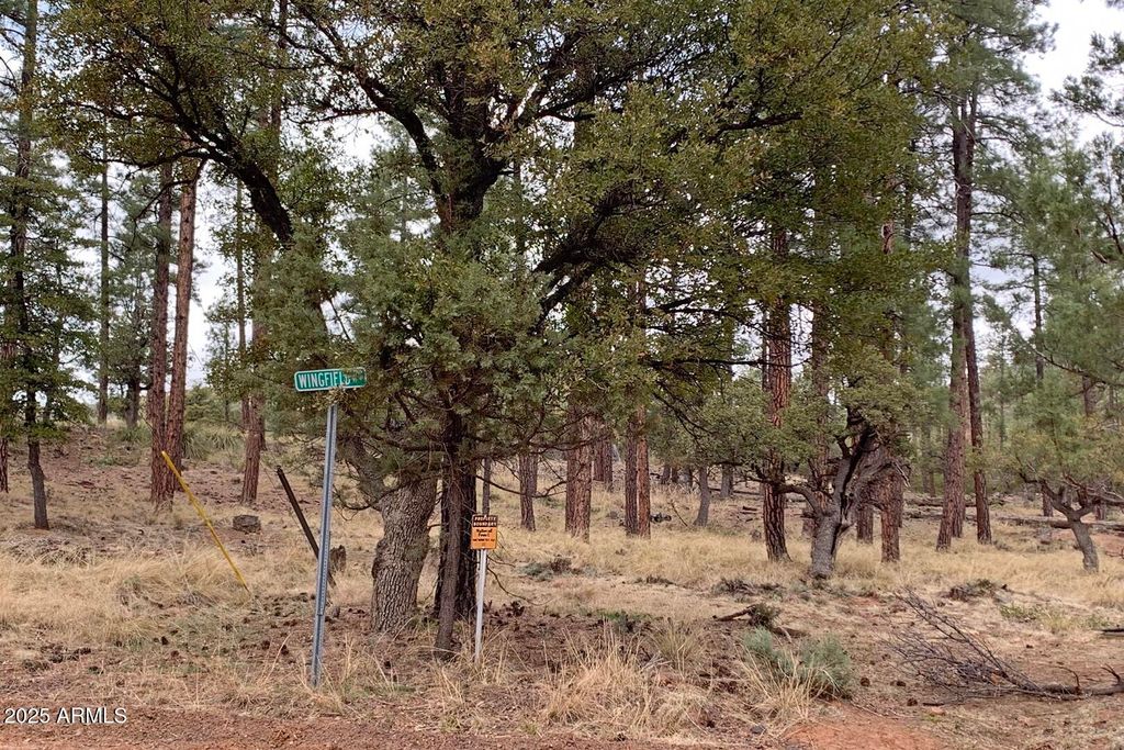 listing image 24