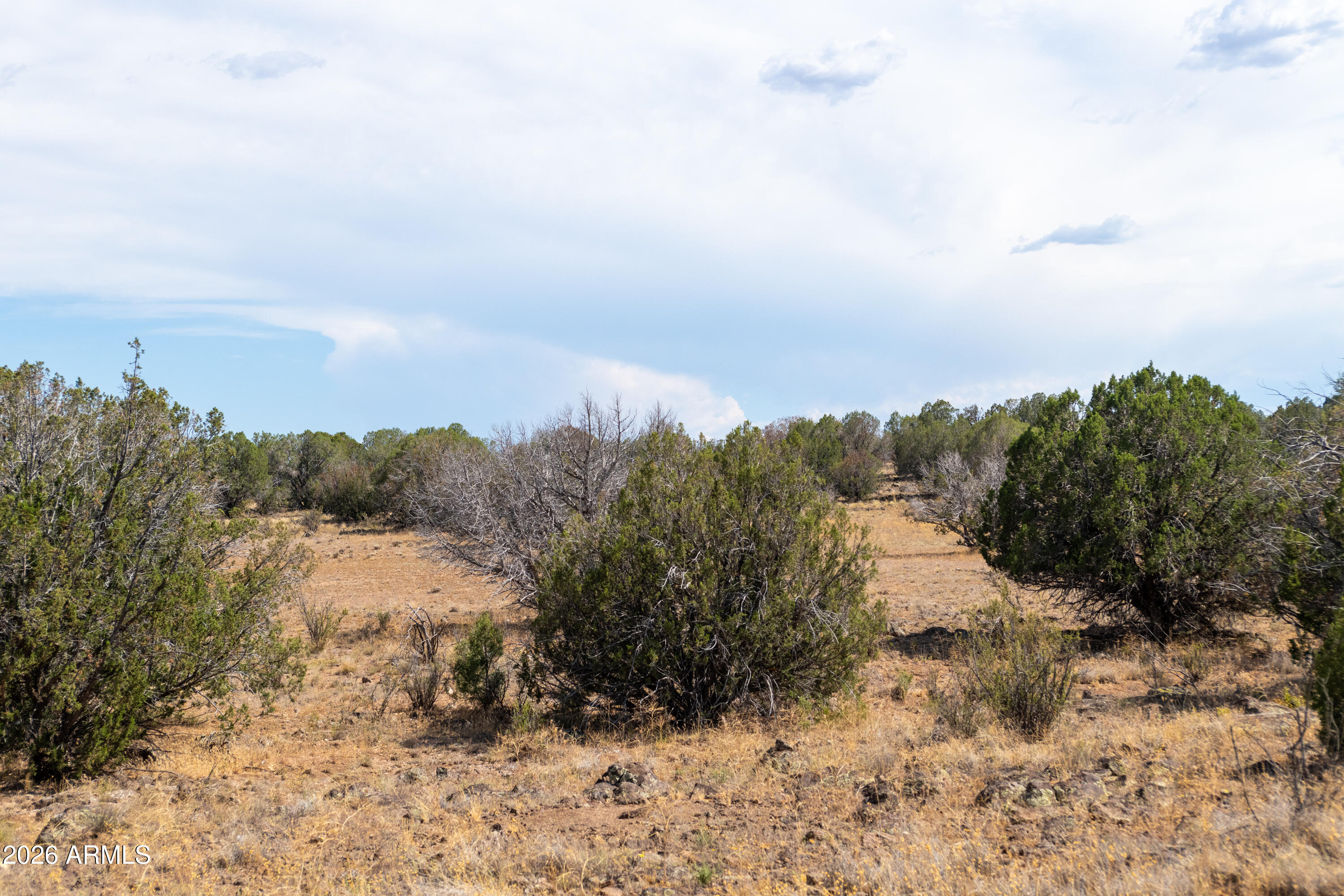 2.13 Acres OFF N. HEADWATERS Road 7