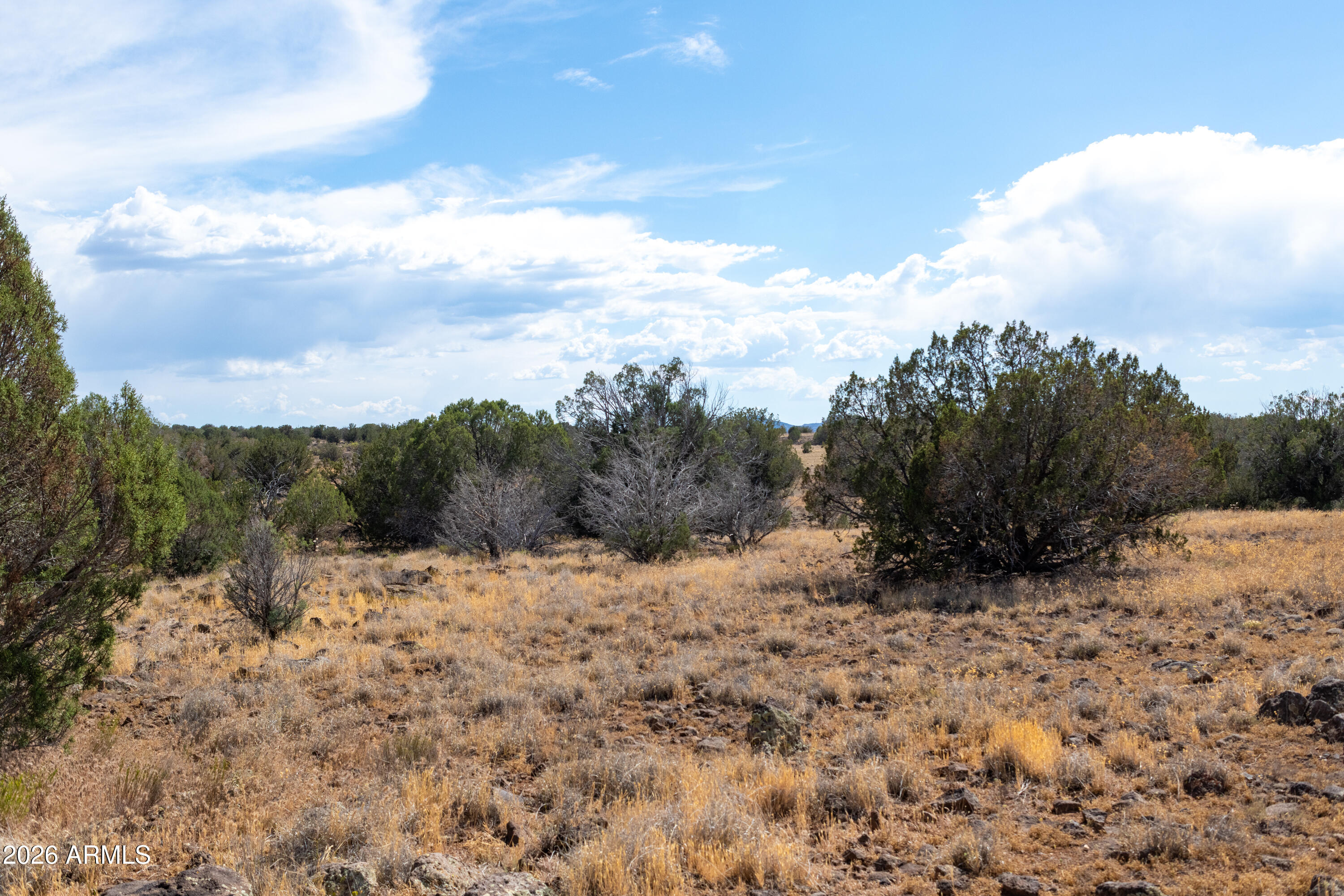2.13 Acres OFF N. HEADWATERS Road 7