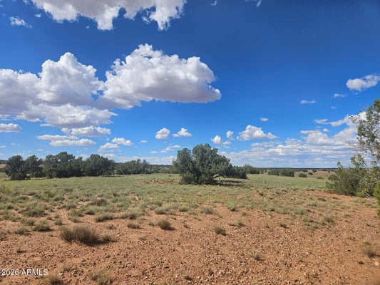 144 COUNTY RD N9027, CONCHO, AZ 85924 - Image be494cc292512b488672fc3cfcb3d36e/1780757637