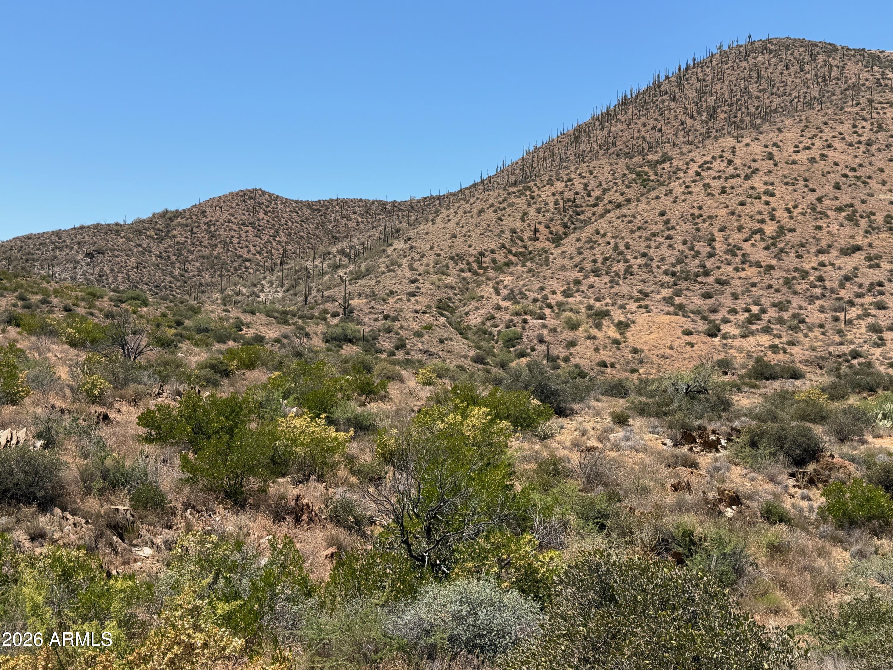 Parcels 202-17-018B, 202-17-001Z, 202-17-001Y, 
202-17-025, 202-17-028 - Land