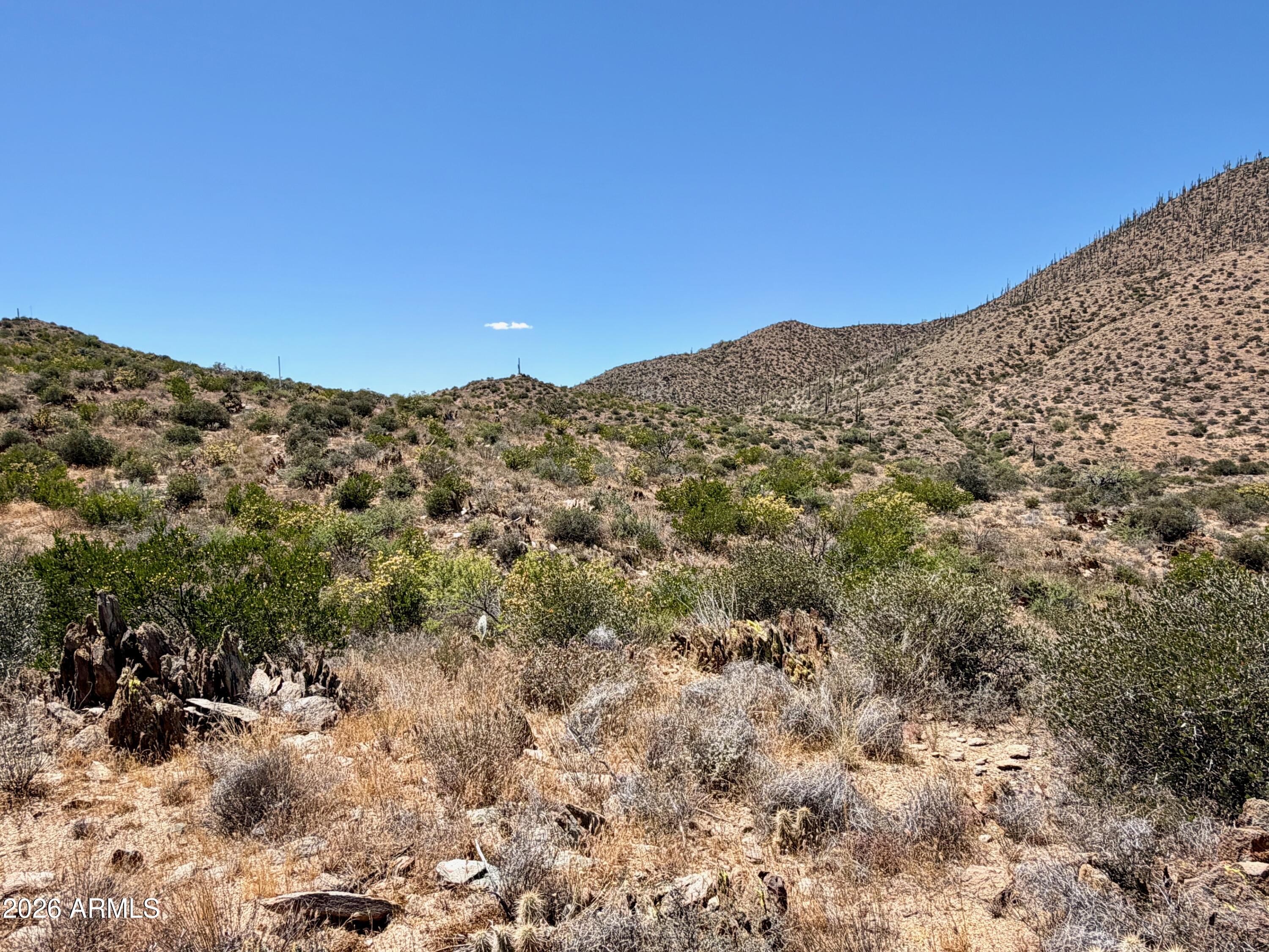 46000 N Fleming Springs Road -