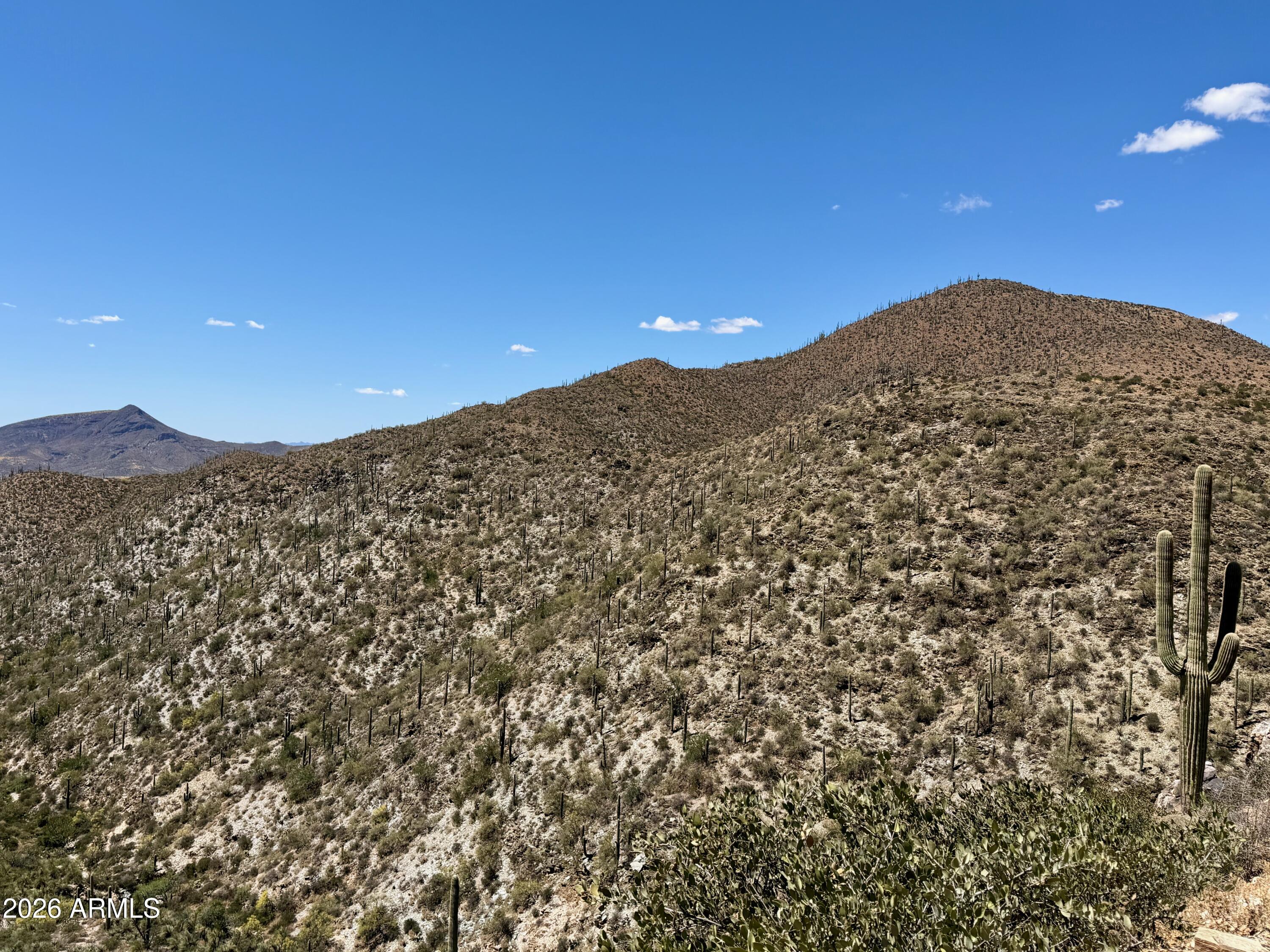 Parcels 202-17-018B, 202-17-001Z, 202-17-001Y, 
202-17-025, 202-17-028 - Land