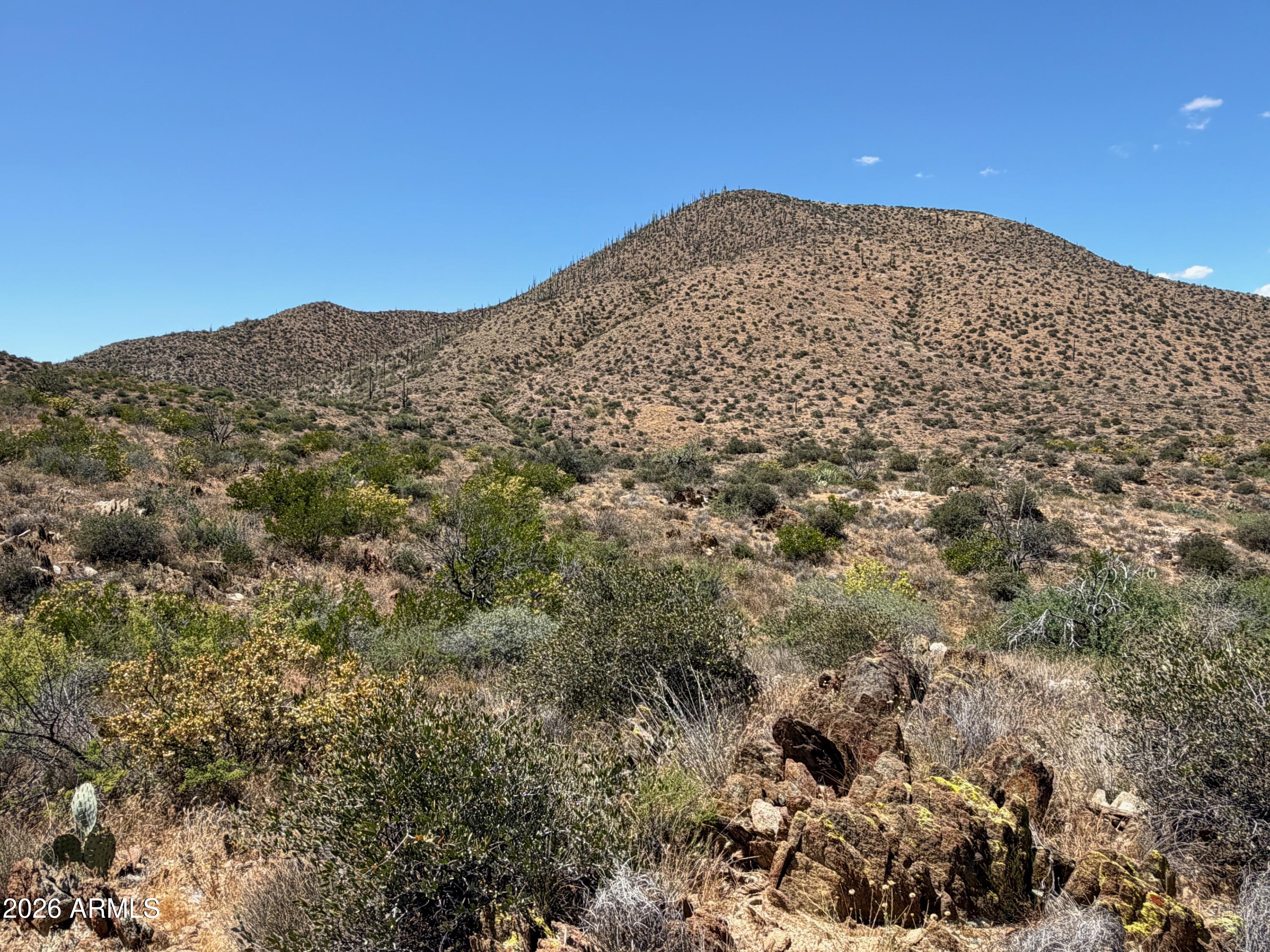 46000 N Fleming Springs Road -