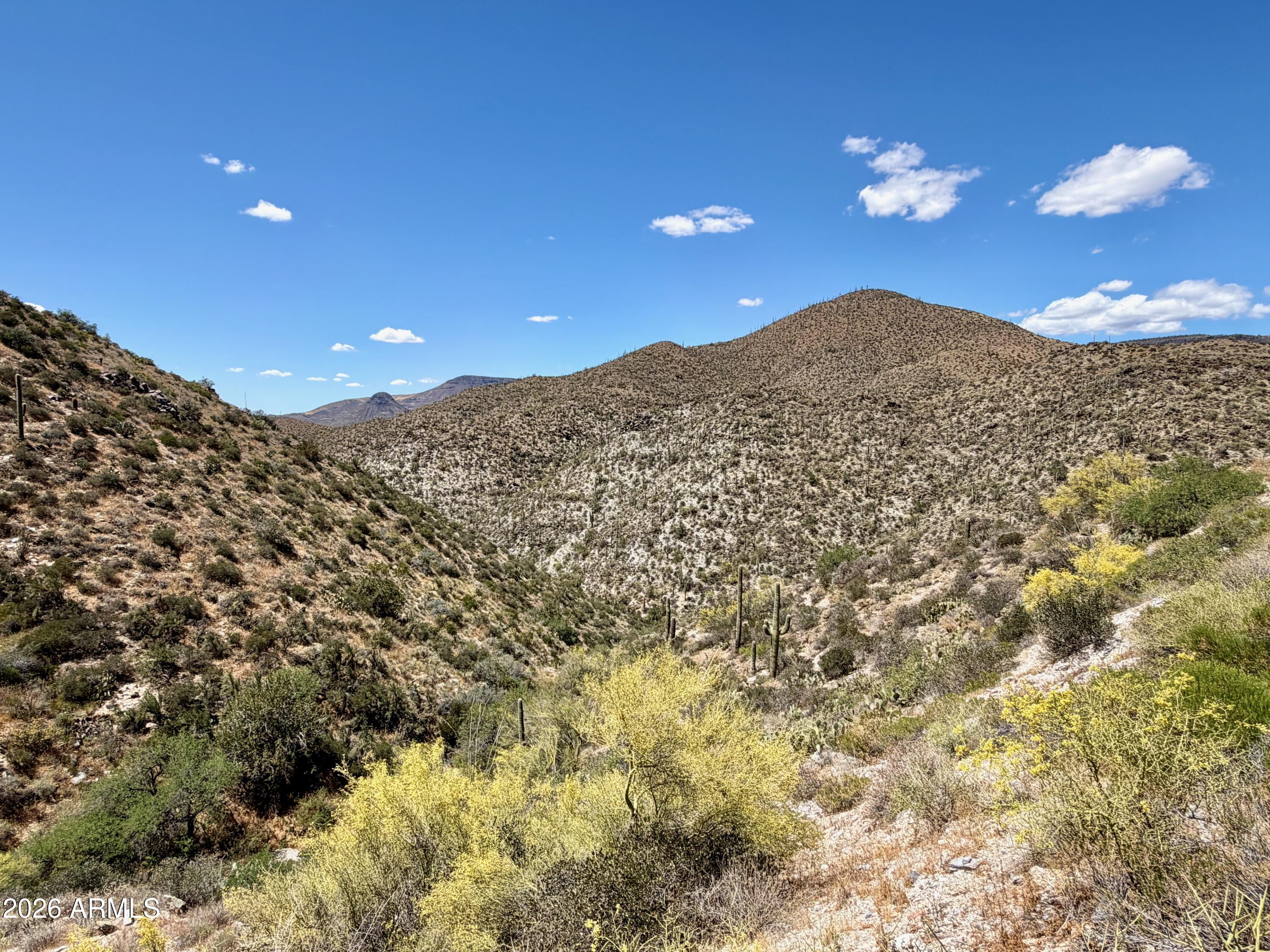Parcels 202-17-018B, 202-17-001Z, 202-17-001Y, 
202-17-025, 202-17-028 - Land