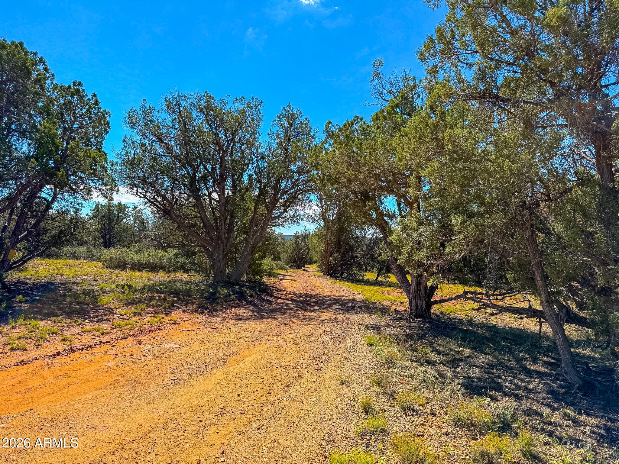 61 Norma Rd Lot B 10 Acres -- -