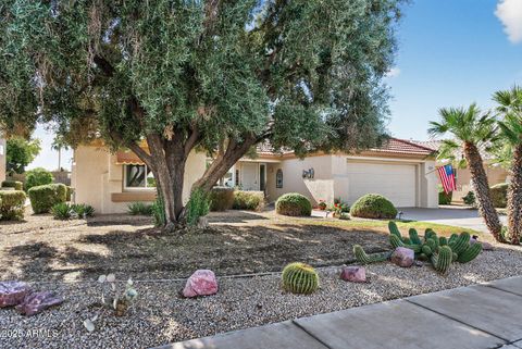 14111 W CIRCLE RIDGE Drive Sun City West AZ 85375