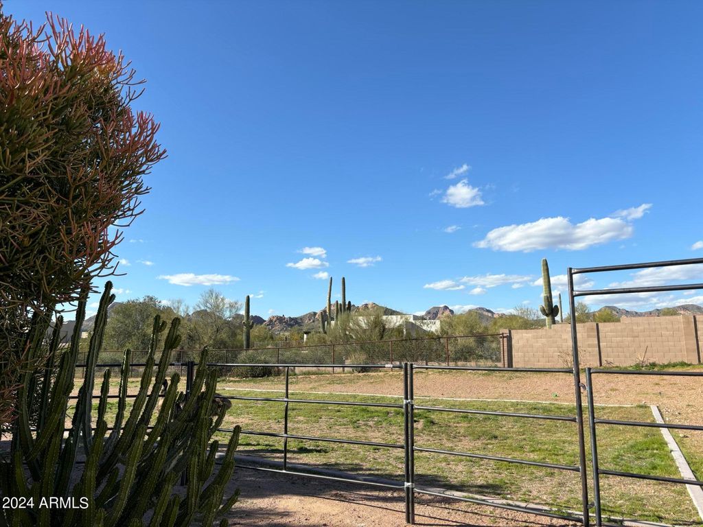 listing image 79