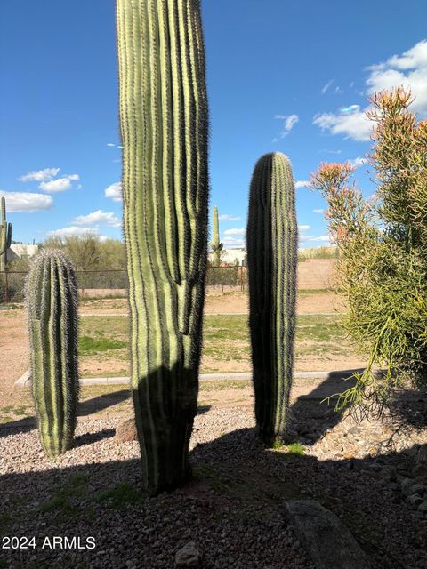 A home in Apache Junction