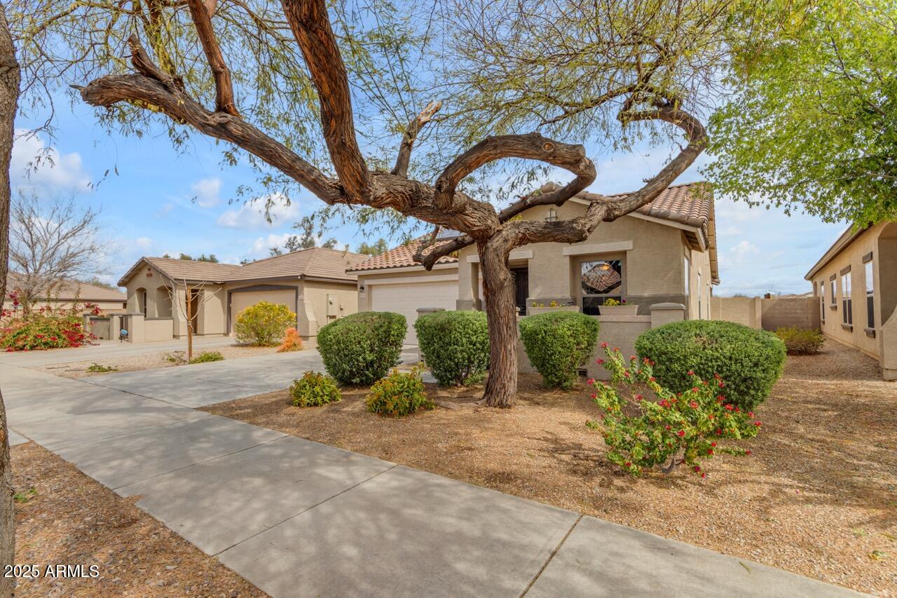21816 E PUESTA DEL SOL --
