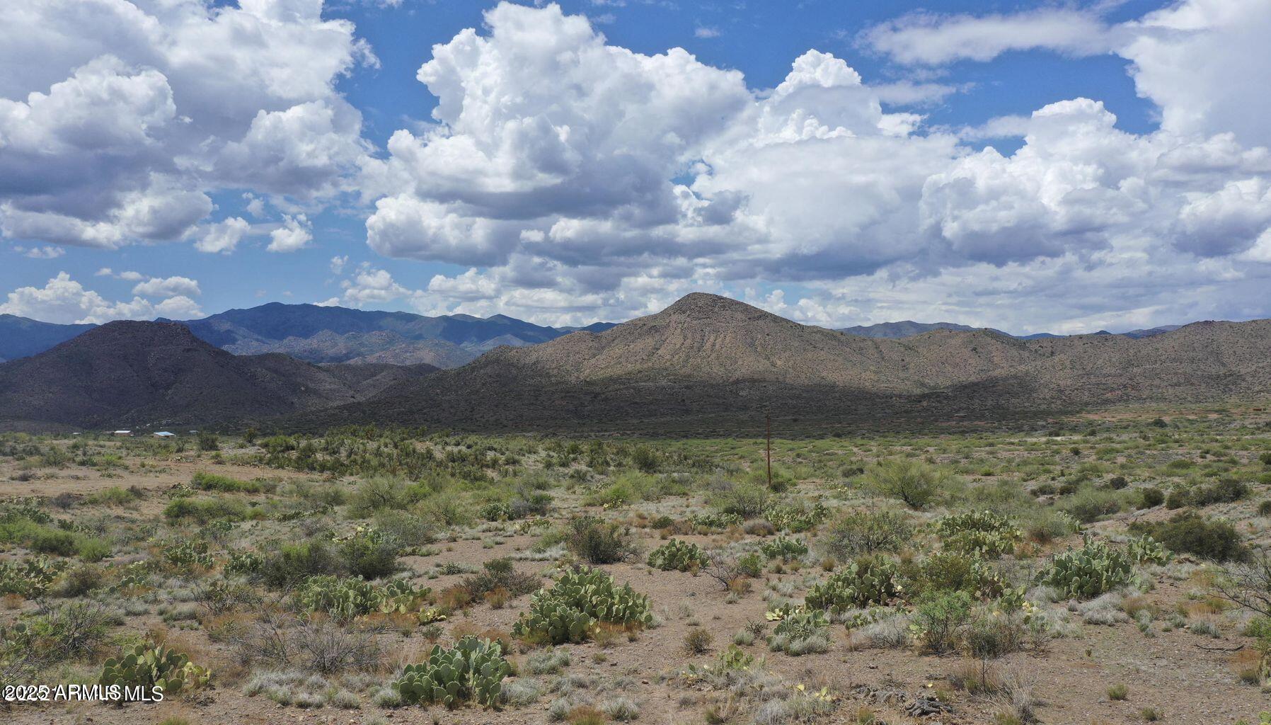 17500X S Dripping Springs Road 14