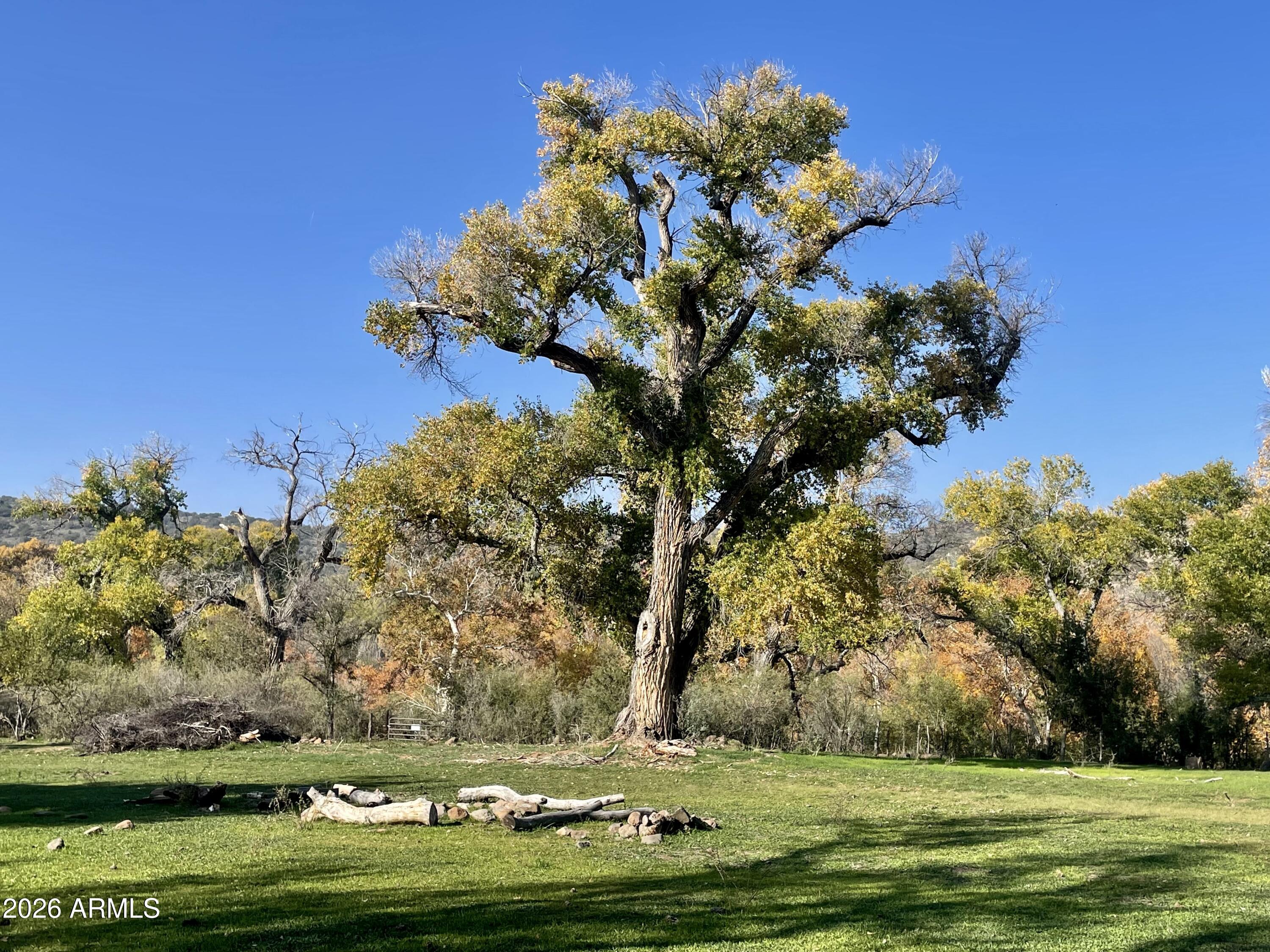 Dancing Apache Springs: 407-27-021B, C, D, E - Land