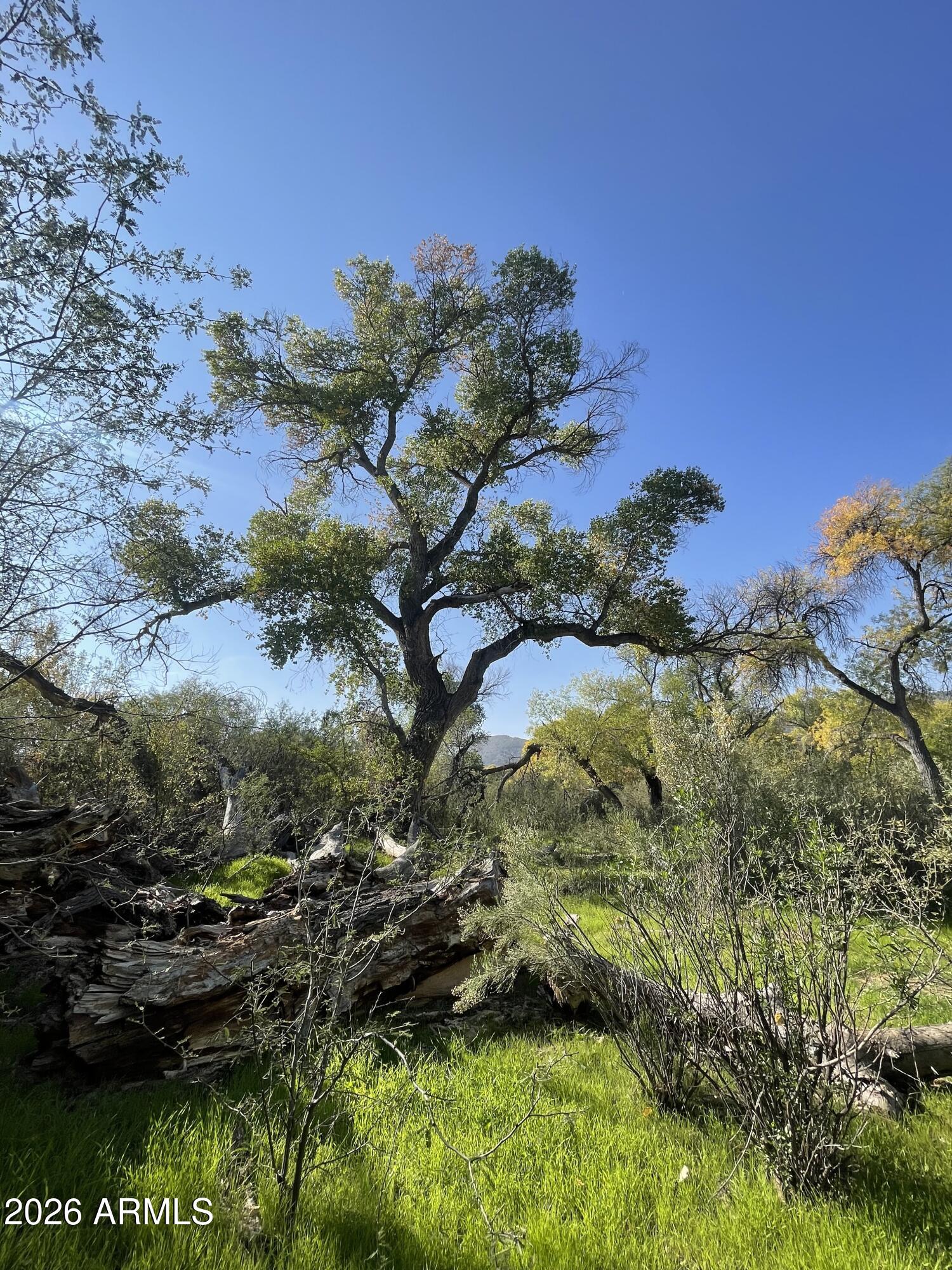 Dancing Apache Springs: 407-27-021B, C, D, E - Land