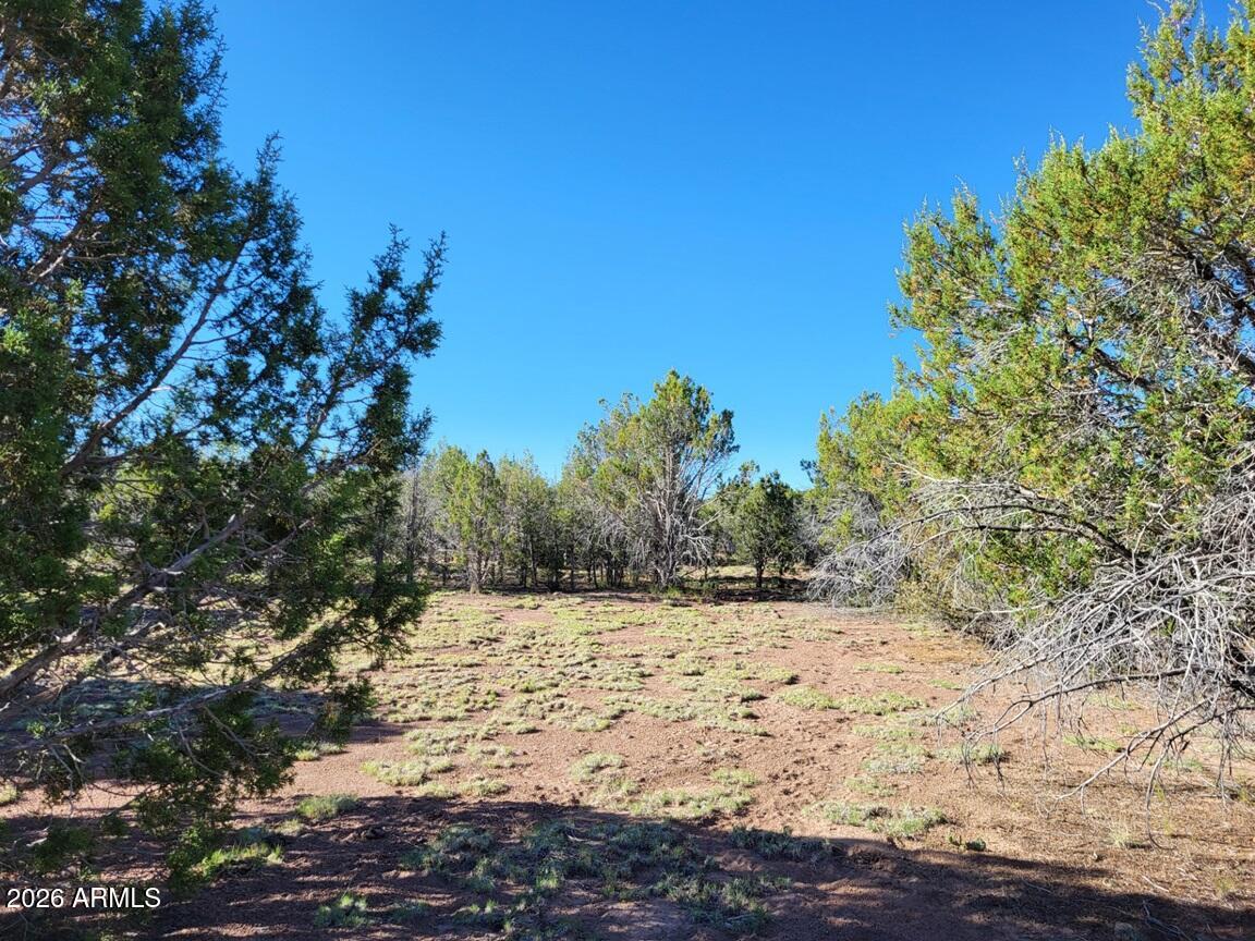 Westwood Ranches - Land