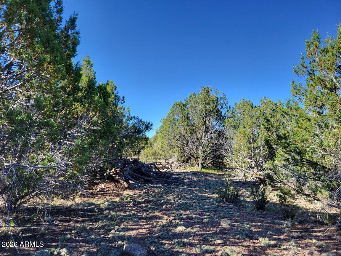 Westwood Ranches - Land