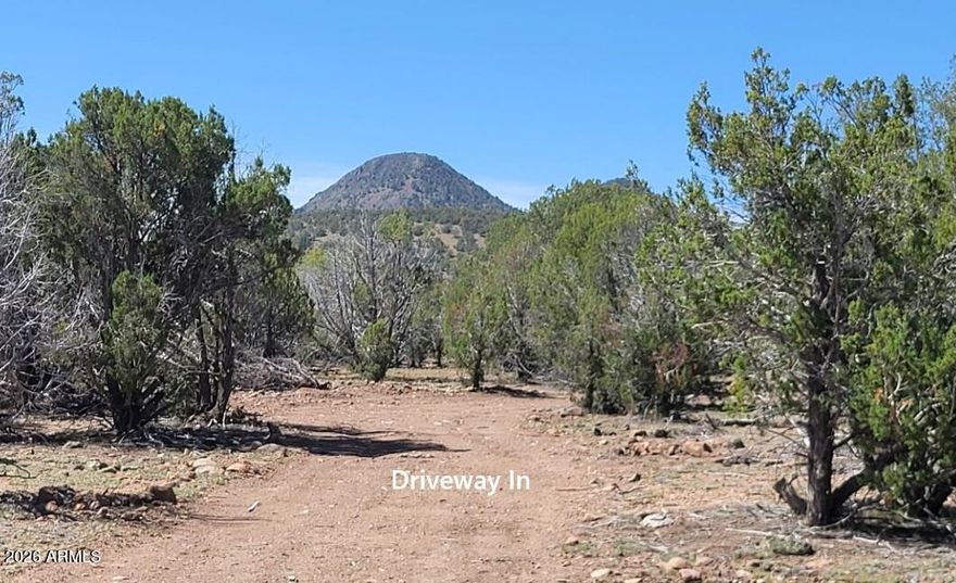 Nice Heavily Treed Property. Camp site and drive graded in. Ready for the buyer to upgrade with fire rings. horse shoes, you name it. Seller including on site 33 foot Fury Toy Hauler in sale. Just 1.4 miles from Smith Tank drawing in wildlife such as Deer and Elk. This is still the wild west and prices are moving on up. This is a Wilderness Off-Grid development. 100,000 acre Westwood Ranch surrounded by 1M acres of additional hunting land. 140 miles of back country roads. ATV, RV, Build that Cabin, Hunt, Hike or Invest. It is all right here. 6,000 foot elevation, cool summers and just the right amount of snow. No HOAs with Road Maintenance. The Best of Both Worlds.