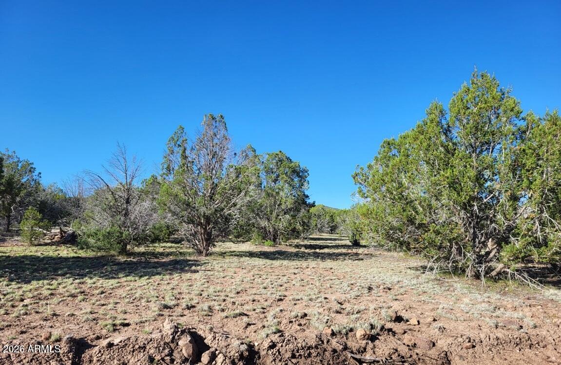 Westwood Ranches - Land