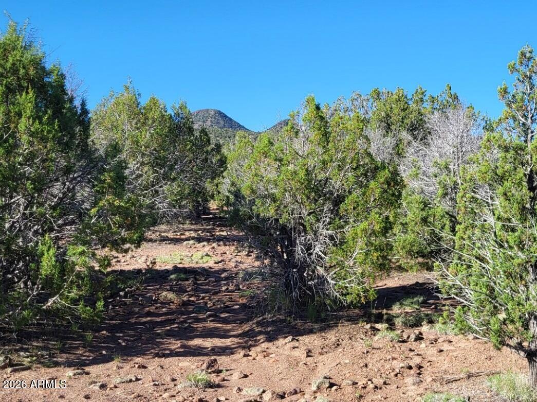 Westwood Ranches - Land