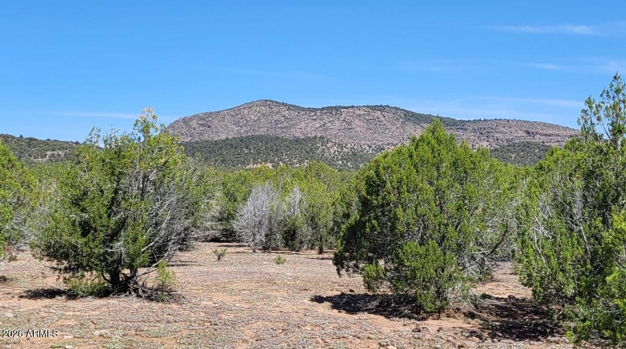 107A N Ranch Road 107A