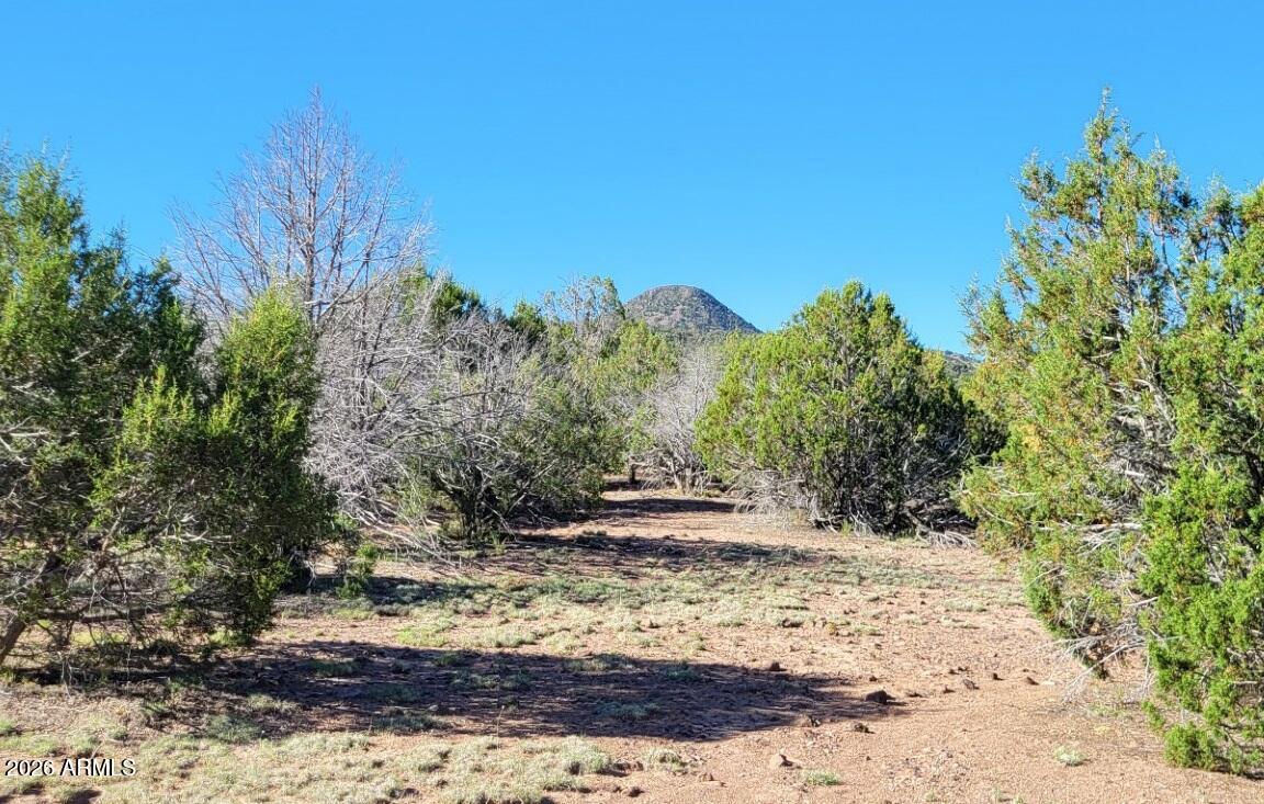 Westwood Ranches - Land