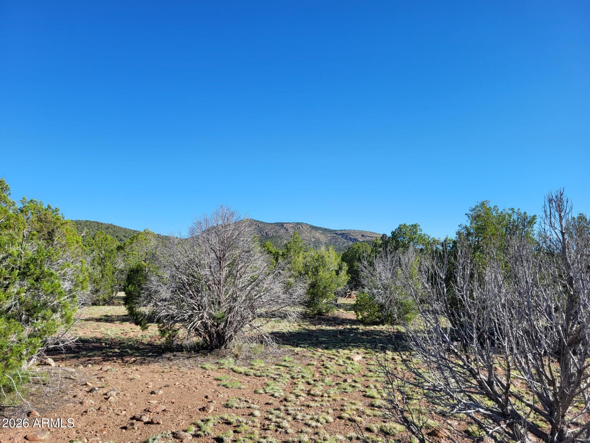 Westwood Ranches - Land