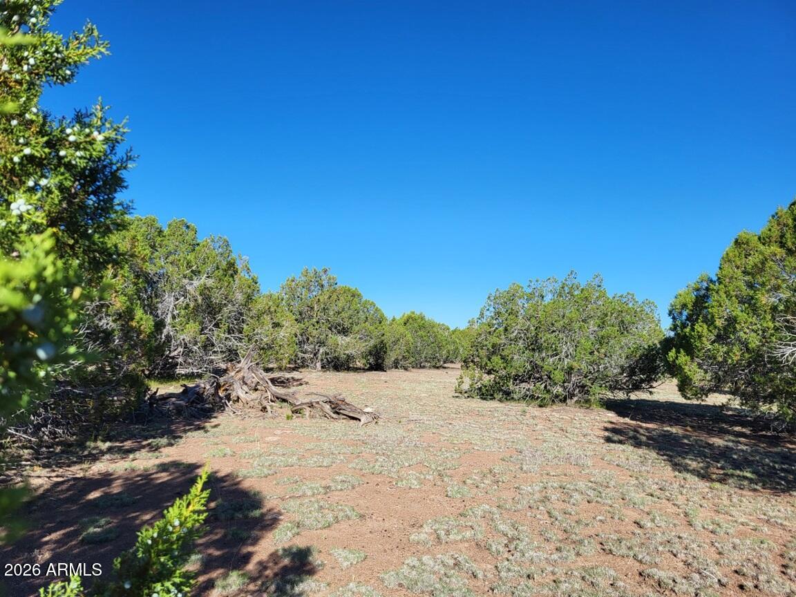 Westwood Ranches - Land
