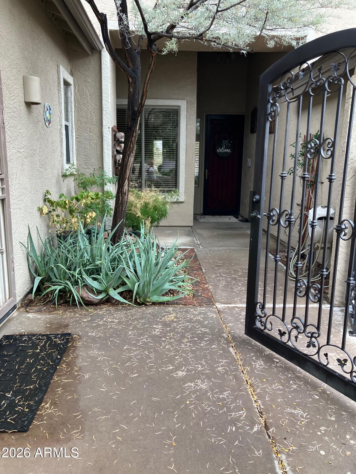 7144 E CUERNAVACO Way