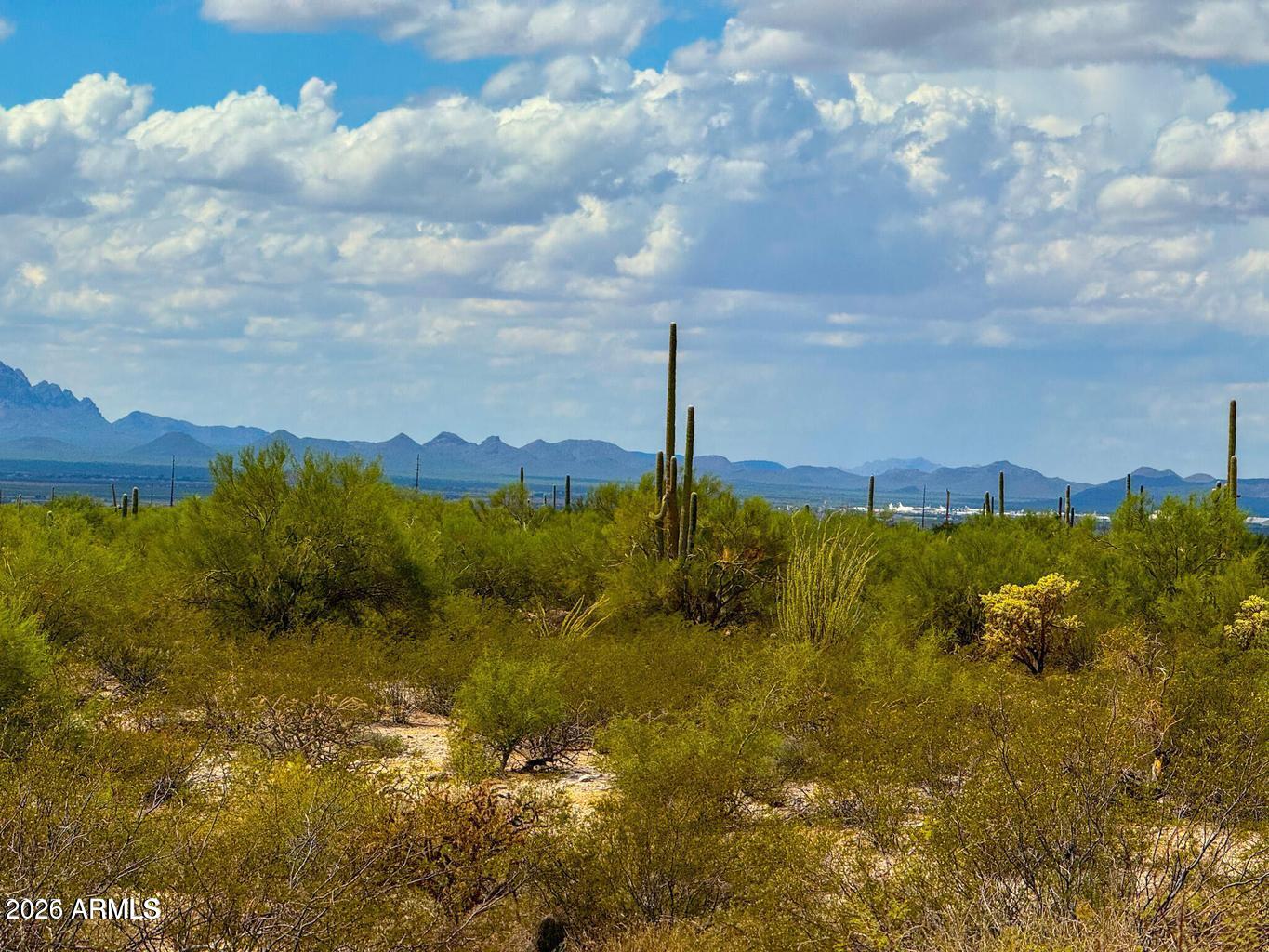 0 S Twin Hawk Ln Lot #1 10 Acres -- -