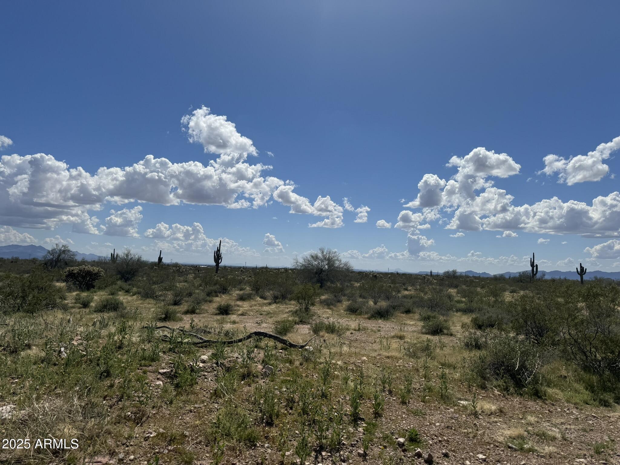 33098 W GALVIN Street 64