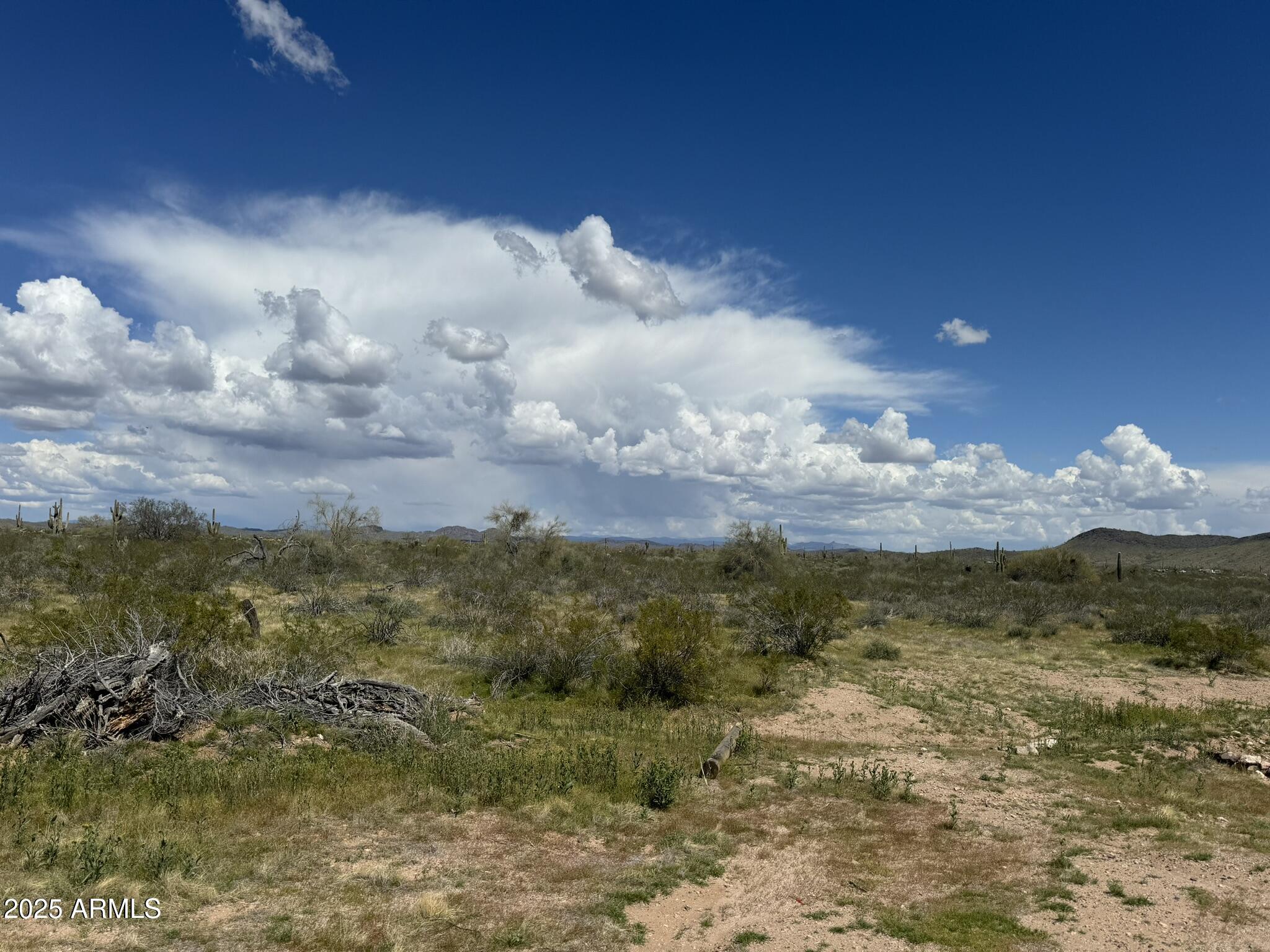 33098 W GALVIN Street 64