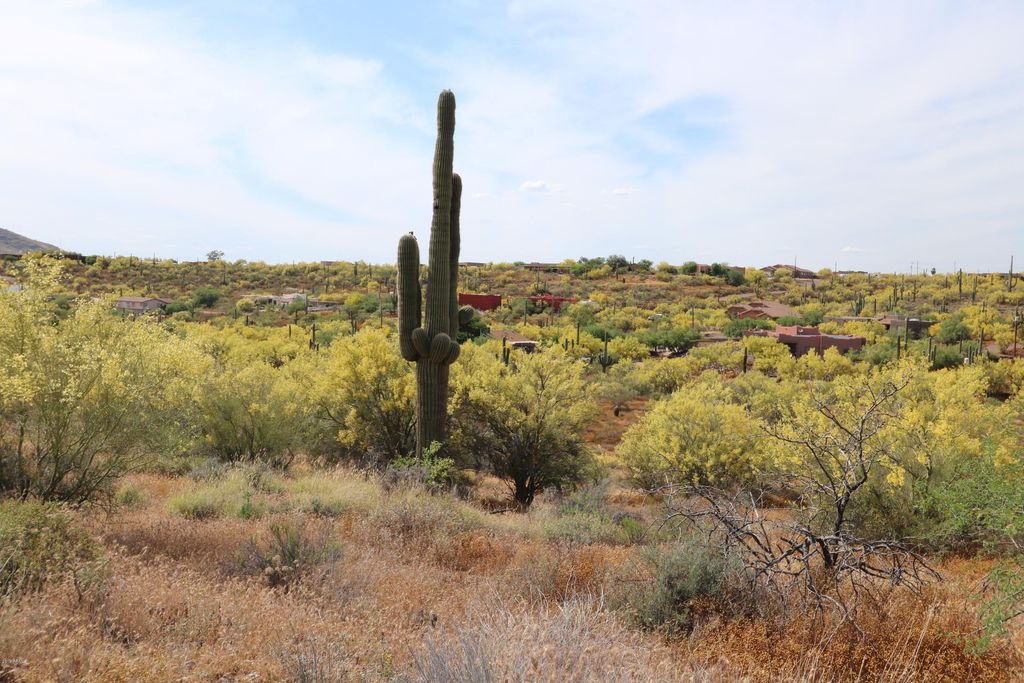 Photo of 42652 N 22nd Street #202-20-093M, New River, AZ 85087 (MLS # 6877879)