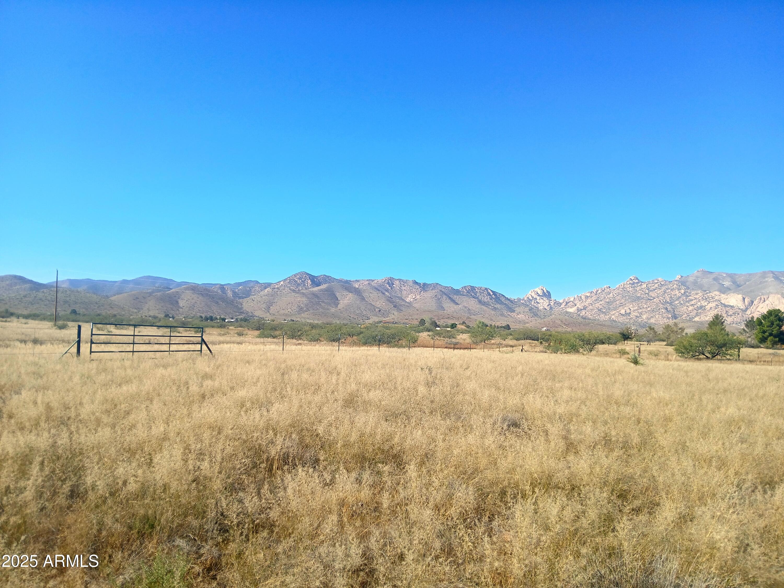 TBD W Justin Street 9