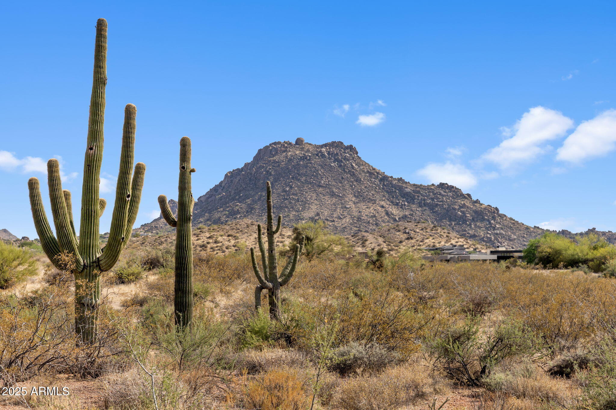 11473 E OBERLIN Way 20